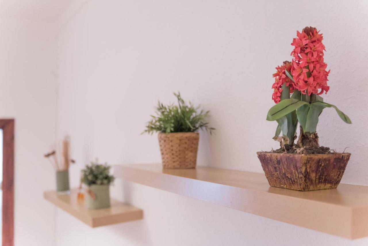 Sweet Bcn Studio With Terrace Барселона Экстерьер фото